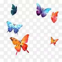 蝴蝶水彩画标志-卡通画蝴蝶