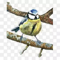 鸟雀卡通插图.树枝上的手绘卡通鸟