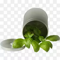 罗勒香料、植物调味品.圆柱形绿叶