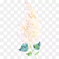 花卉水彩画花卉设计-浮花