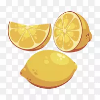柠檬画插图.手绘柠檬