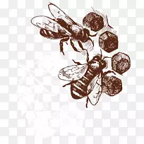 蜜蜂蜂巢夹艺术.手绘小蜜蜂载体