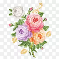 牡丹园玫瑰-五彩牡丹