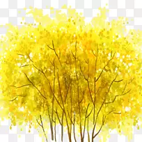 黄绿色-秋季