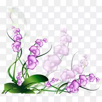 紫花-紫花装饰