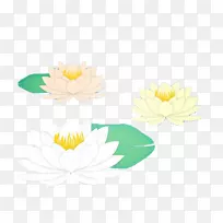 花卉图案黄色花瓣图案-莲花