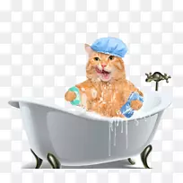 猫狗小猫洗发水浴猫浴缸
