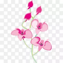 兰花动画剪辑艺术花卉图案