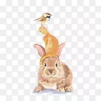 兔鸟虎猫插图-手绘水彩画鸟牛兔群