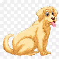 比格犬狗品种图-狗