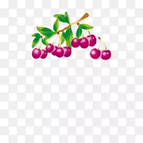 水果果脯插图-紫色樱桃