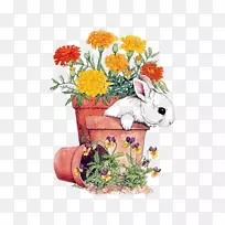 荷兰兔复活节兔子我喜欢兔子、花盆和兔子。