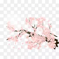 樱花插画-华丽的梅花