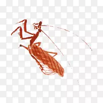 昆虫螳螂--装饰图案，昆虫