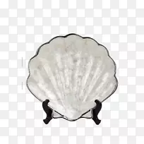 贝壳海螺入口-贝壳饰物