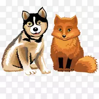 西伯利亚哈士奇儿童喜爱动物：食肉动物、食草动物和杂食动物着色书：供4至9岁儿童使用的字母-狡猾的狼和狐狸