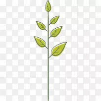 叶绿色植物茎叶
