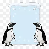 南极洲帝企鹅-企鹅贺卡