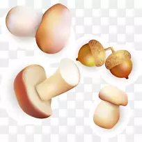 鸡蛋食品-天然松木蘑菇食品载体