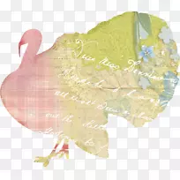 动物标签