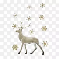 有雪影响的驯鹿圣诞老人圣诞鹿