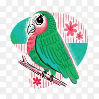 鹦鹉鸟画插图-画鸟创意