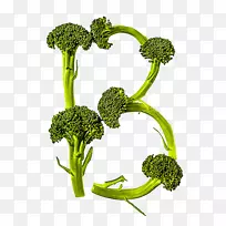 西兰花食品蔬菜字母表花椰菜菜花字母表b