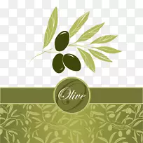 橄榄叶载体橄榄油-橄榄油标签盖