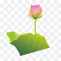 佛教剪贴画-佛教荷花载体材料