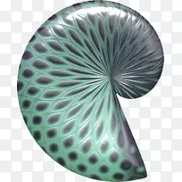 正交波尔卡圆点图标-绿色蜗牛壳