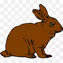 兔子博客剪贴画-棕色兔子