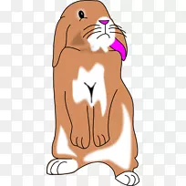 兔夹艺术-棕色兔子