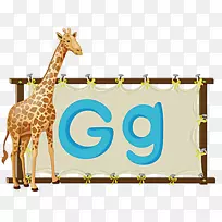 字母版税.免字母表插图.示意图字母g