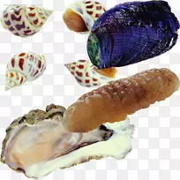 牡蛎海鲜蛤蜊烧烤粥蜗牛贝壳图案