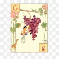 精灵：精灵书插图的ABC字母插图-英文卡通卡g
