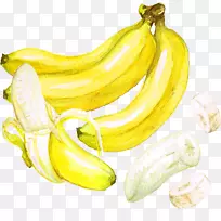 啤酒香蕉水彩画-香蕉