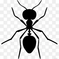大家都看到蚂蚁、黑木匠、蚂蚁、黑花园蚂蚁、害虫防治-黑蚁。