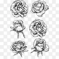 玫瑰花素描-黑白玫瑰素描