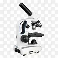显微剪贴画-显微镜