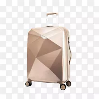 法国行李箱代尔赛旅行-德尔西行李品牌