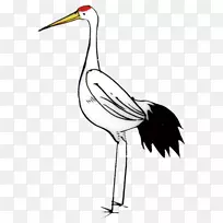 鹤鸟鹅鹤