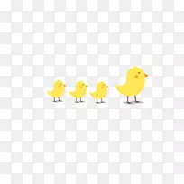 鸟嘴鸡文字插图-小鸡