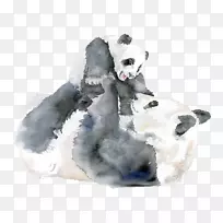 大熊猫水彩画婴儿妈妈-熊猫
