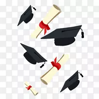 毕业典礼广场学术帽文凭剪贴画-博士。学历和文凭，毕业