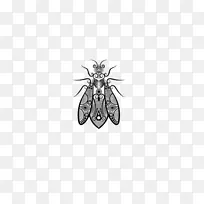 蜜蜂蝴蝶昆虫翅膀淋浴.蟑螂图案