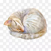 猫卡通水彩画-睡猫