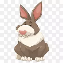 兔肉摄影剪贴画-可爱的兔子