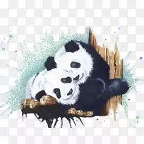 大熊猫水彩画-熊猫