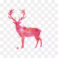 鹿水彩画-水彩画鹿
