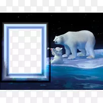 可口可乐宝宝北极熊-北极熊相框